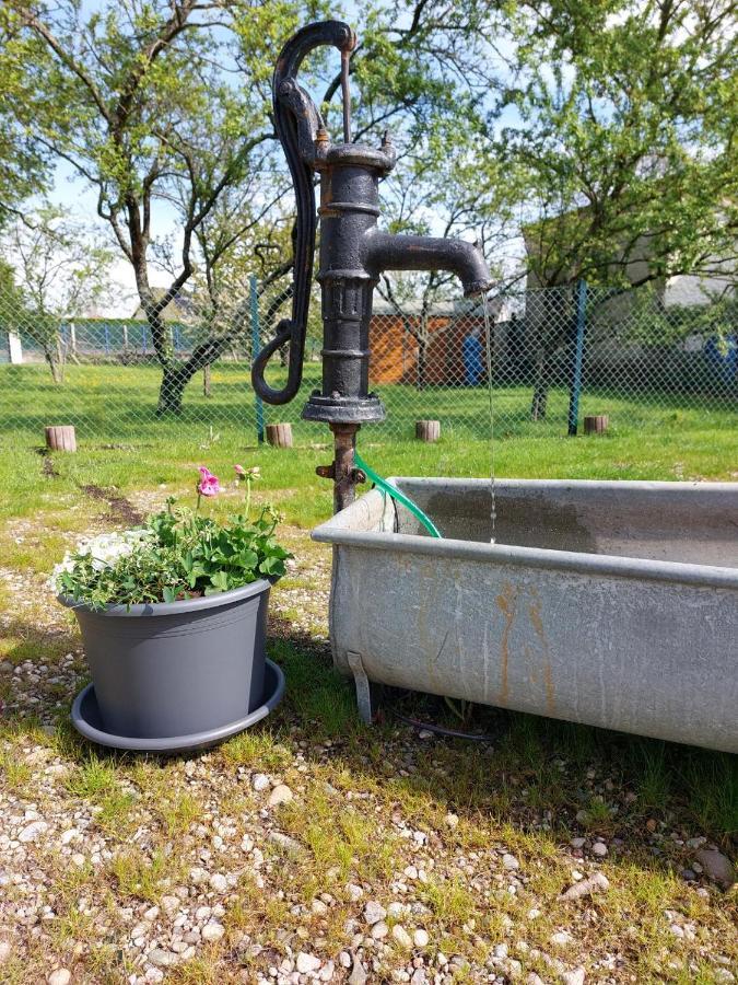 Gite Au Pommier Fleuri Et Son "Appart" Independant Drusenheim Zewnętrze zdjęcie
