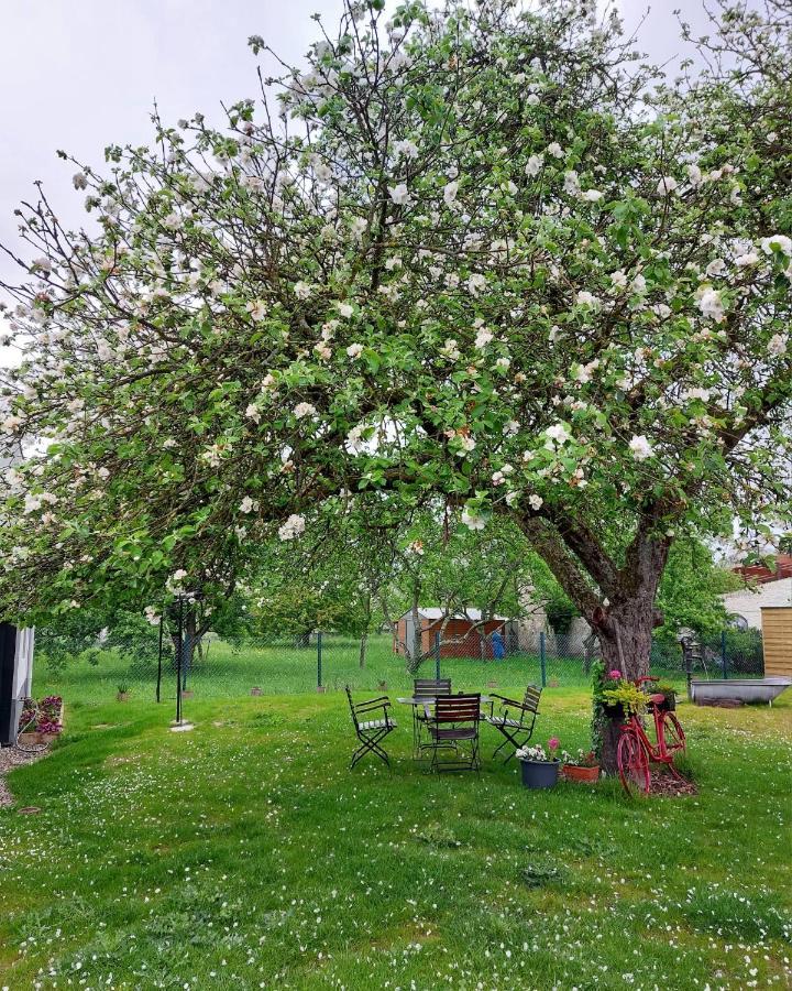 Gite Au Pommier Fleuri Et Son "Appart" Independant Drusenheim Zewnętrze zdjęcie