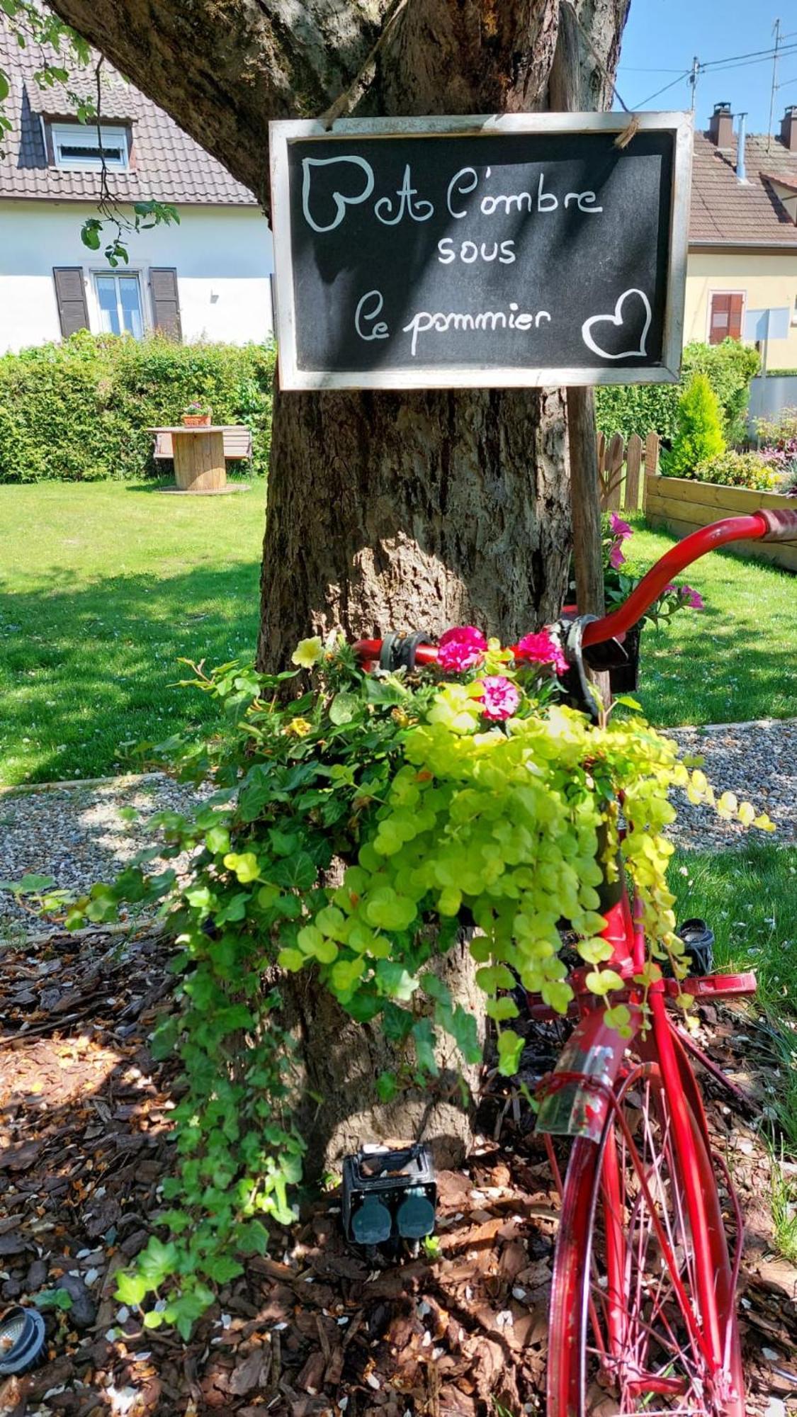 Gite Au Pommier Fleuri Et Son "Appart" Independant Drusenheim Zewnętrze zdjęcie